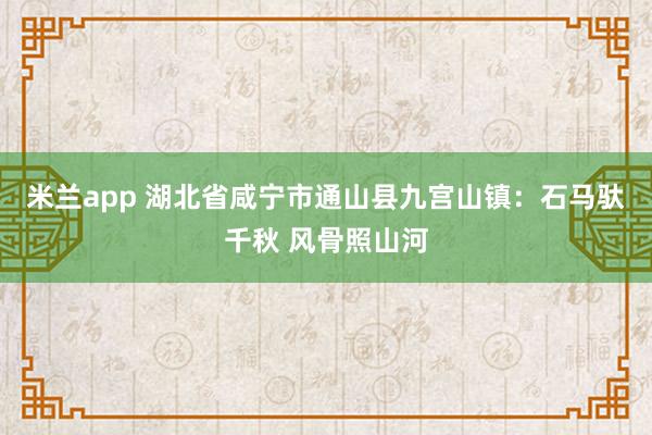 米兰app 湖北省咸宁市通山县九宫山镇：石马驮千秋 风骨照山河
