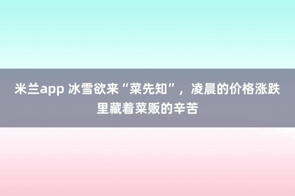 米兰app 冰雪欲来“菜先知”，凌晨的价格涨跌里藏着菜贩的辛苦