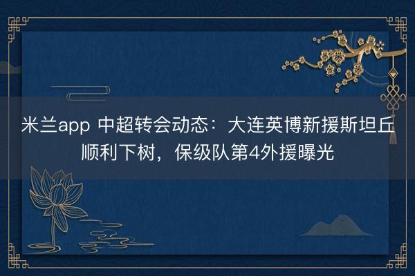 米兰app 中超转会动态：大连英博新援斯坦丘顺利下树，保级队第4外援曝光