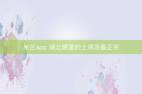 米兰app 湖北哪里的土鸡汤最正宗