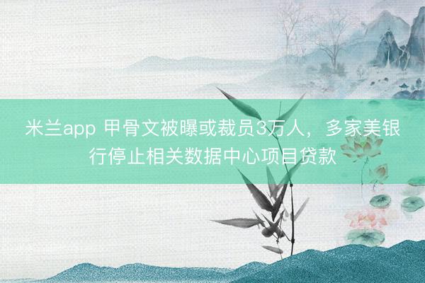 米兰app 甲骨文被曝或裁员3万人，多家美银行停止相关数据中心项目贷款