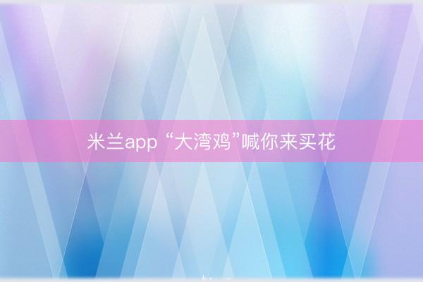 米兰app “大湾鸡”喊你来买花