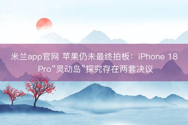 米兰app官网 苹果仍未最终拍板：iPhone 18 Pro“灵动岛”探究存在两套决议