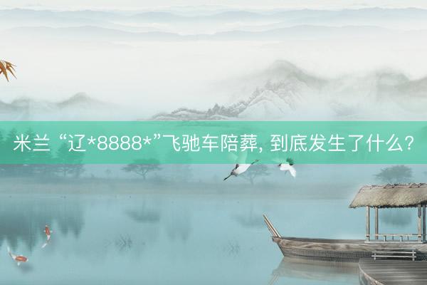 米兰 “辽*8888*”飞驰车陪葬, 到底发生了什么?