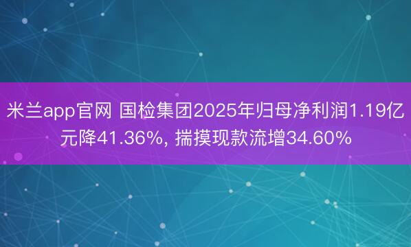 米兰app官网 国检集团2025年归母净利润1.19亿元降41.36%， 揣摸现款流增34.60%